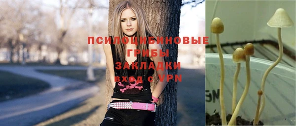 бутират Алзамай